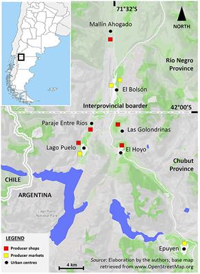 Changing Conditions for Local Food Actors to Operate Towards Agroecology During the COVID-19 Pandemic